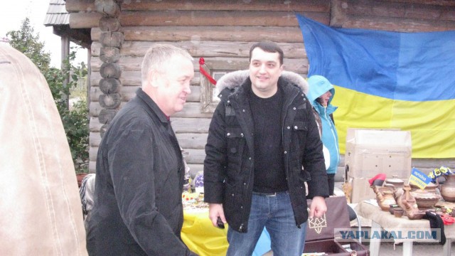 Дебилы