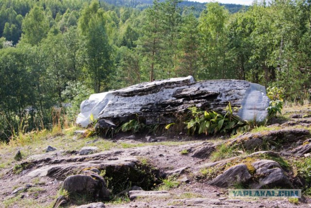 Две недели впечатлений.