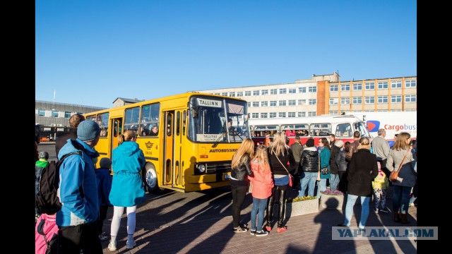 Самые необычные советские автобусы