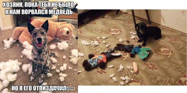 Абсурдный юмор ч.7