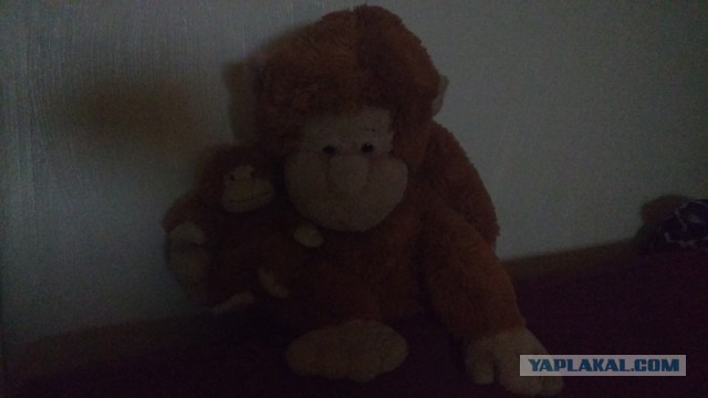 Жуткое видео