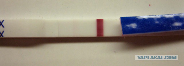 Дорогой, я беременна!