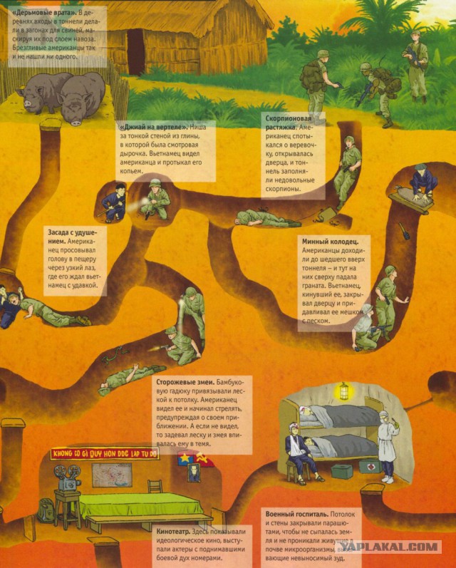 Муравьиное братство: пьяные оргии, «Поза чемоданчика» и «Не пади врагу»