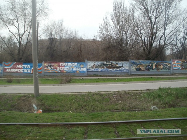 Американцы празднуют День Победы, и смотрят Парад 9 мая