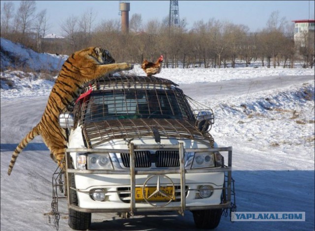 Когда фотограф на месте