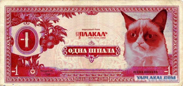 Яровая предложила награждать военных кортиками при выходе на пенсию