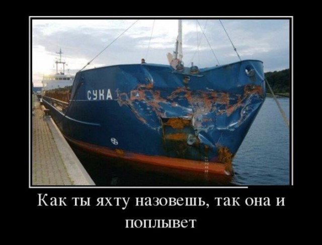 Порция картинок из сети.