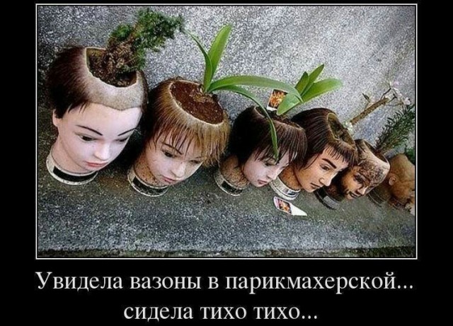 Всячина. Картинки и тексты картинками