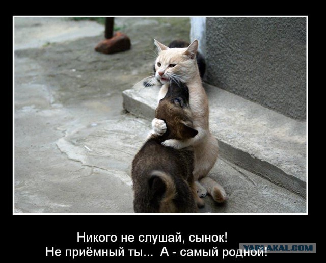 Сколько милоты в этих фото...