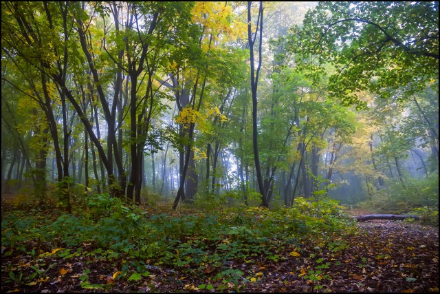 Моменты, запечатлённые на фото и просто позитив 5