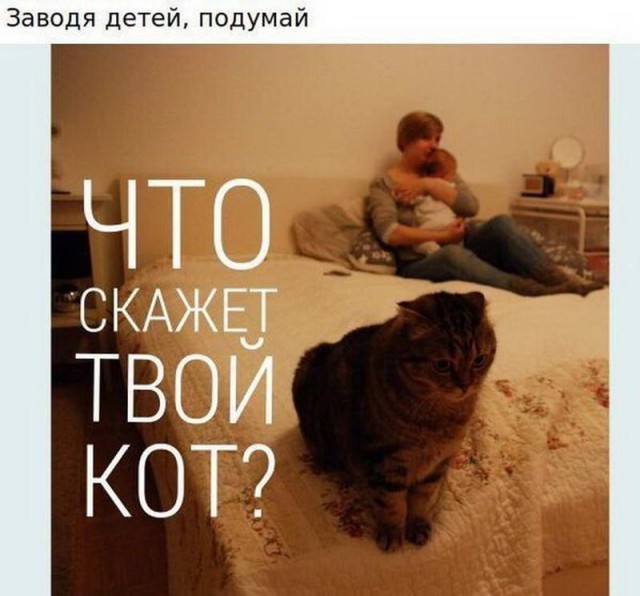Деградации ЯПу