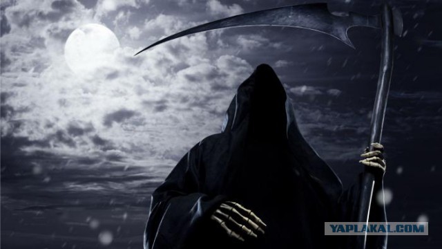 Возбудили уголовное дело на сбитого человека за поврежденный"Мерседес"
