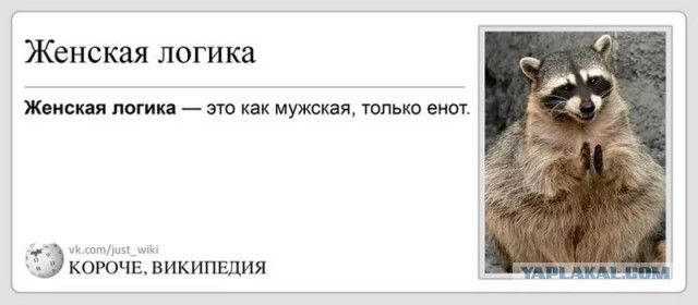 Столкновение с фундаментальной женской логикой, против которой нет оружия