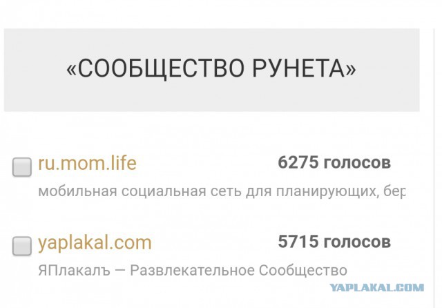 Премия Рунета 2017