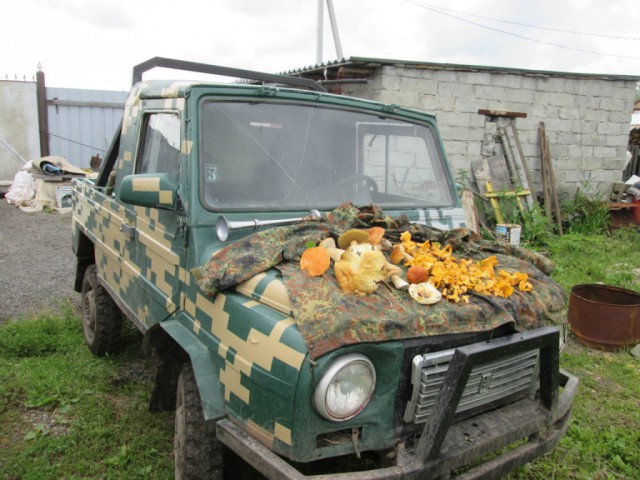 Раритет на немецких торгах
