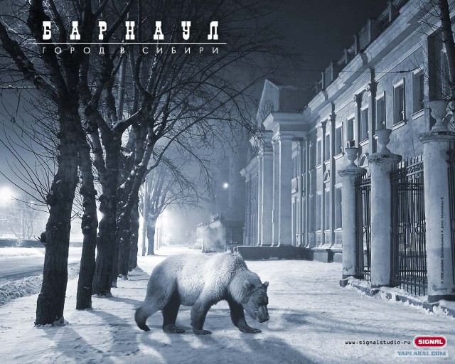 О наболевшем.