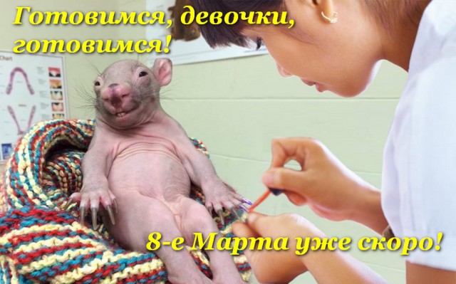 Подборка интересных и веселых картинок