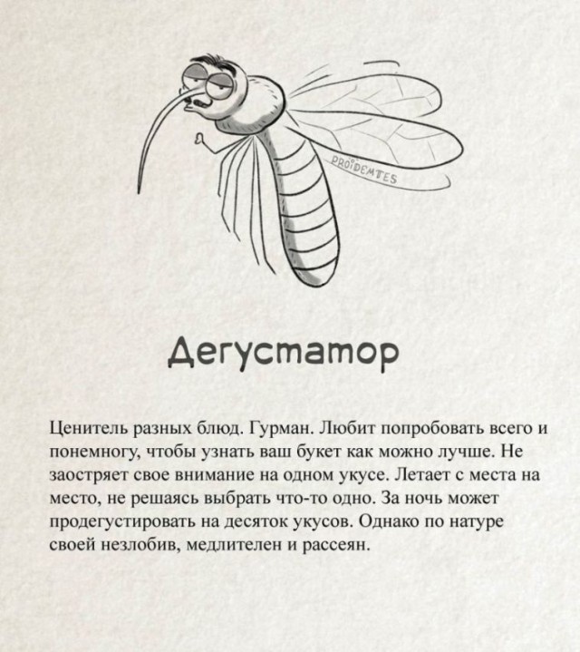 Точная классификация комаров!