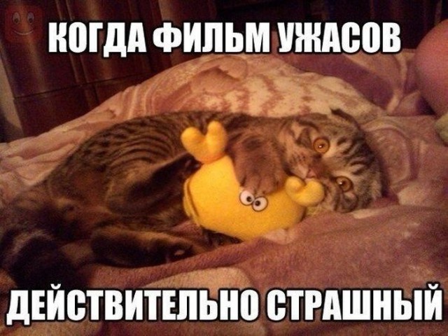 Не все герои носят плащи