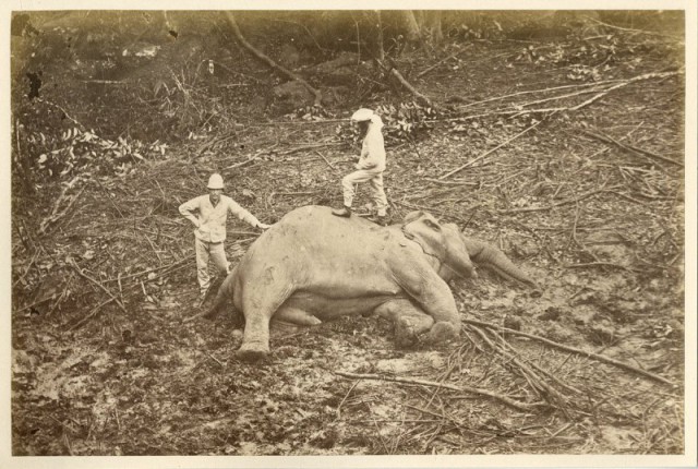 История в фотографиях