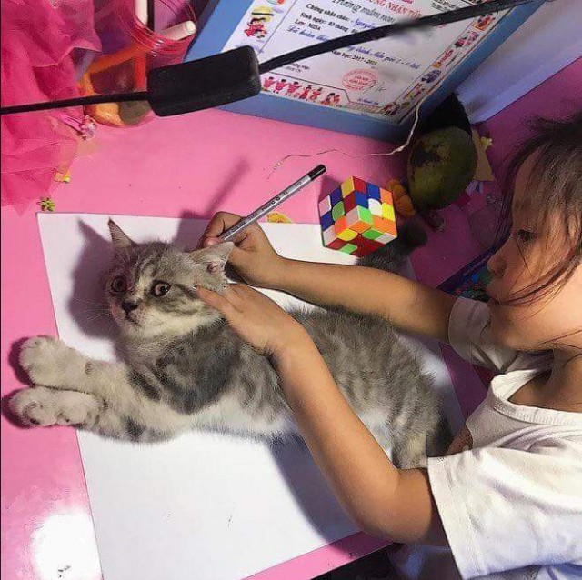 Девочка не знала, как нарисовать кошку, и просто обвела ее. Кошка в шоке, а картинка стала мемом про неудачное копирование