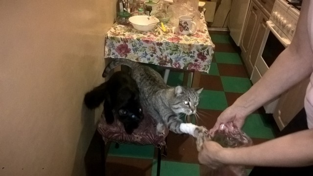 Такая беда, ребята