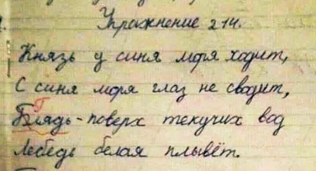 Записи в школьных дневниках и тетрадях