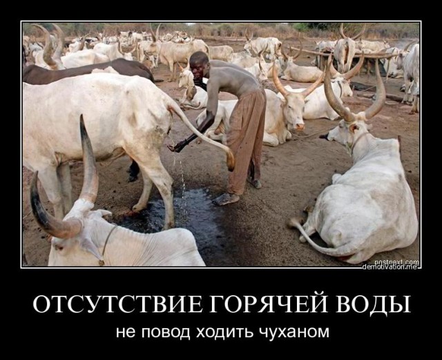 Россия и Уганда начнут сотрудничество в научной сфере