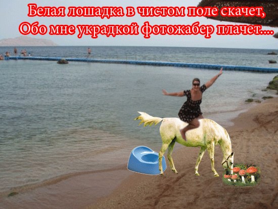 Фотожаба: Улетаю