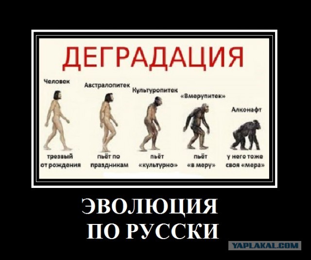 Правительство назвало 12 причин для отключения России от мирового интернета