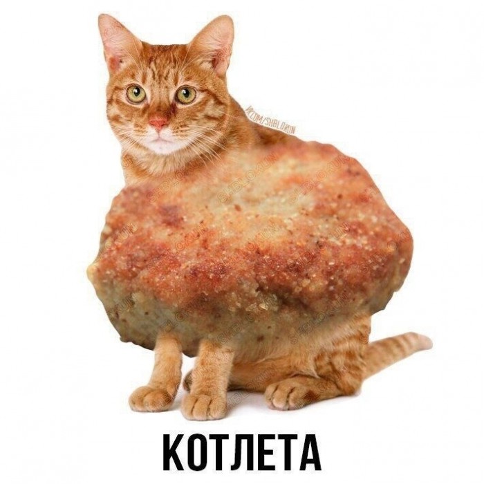 Ало или Алё