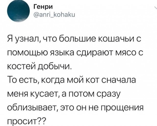 Немного картинок для настроения 09.03.20