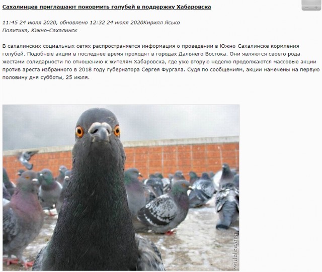 В субботу в Омске сразу в трех местах "кормили голубей"