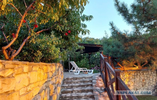 Алкогольная тема для того, чтобы выпустить пар