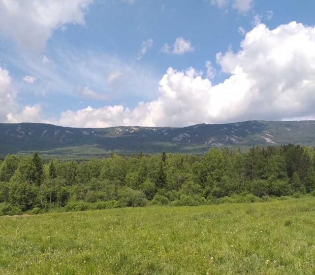 Где-то на Урале лес заменяет людям небо