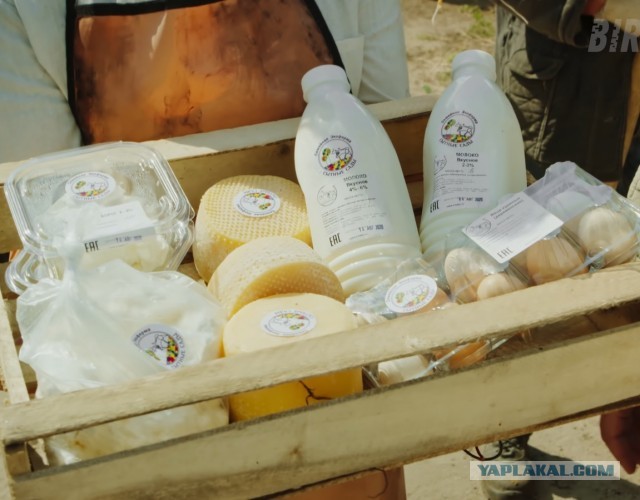 Россия будущего. Кибердеревня