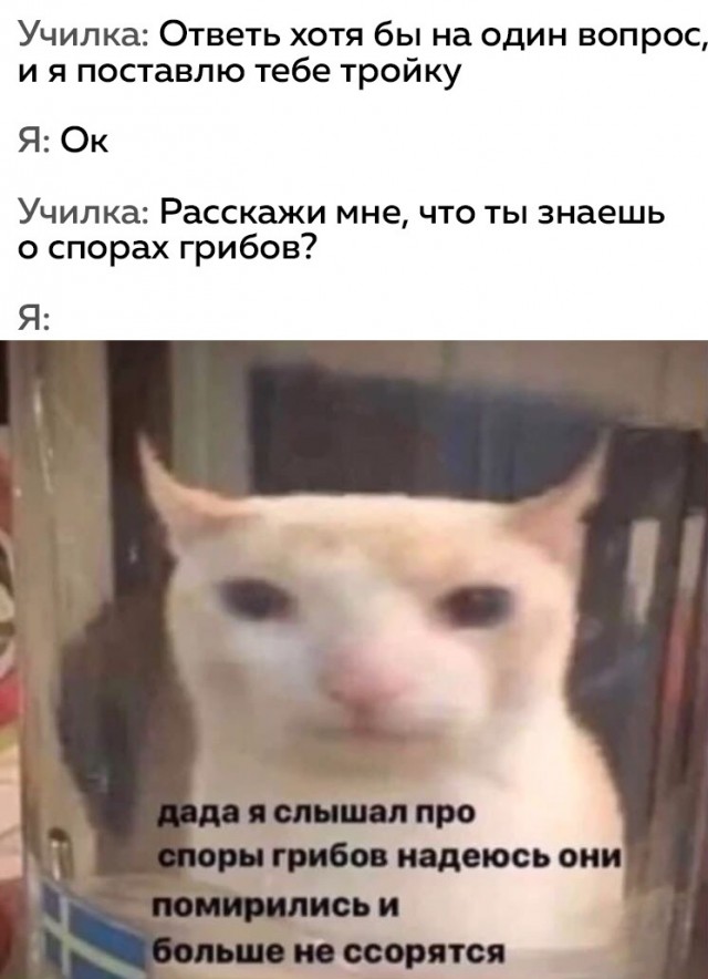 Картинки разные 29.12.2020