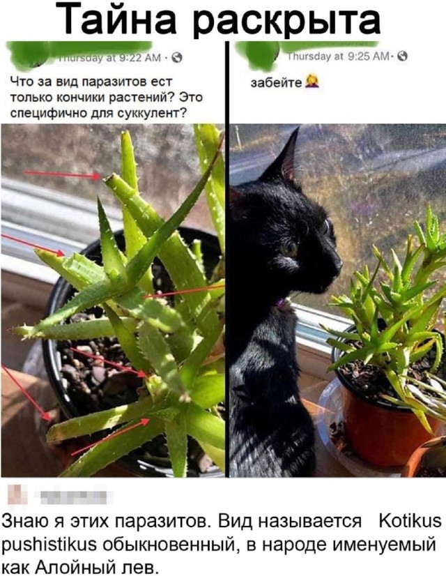 Небольшая разгрузка