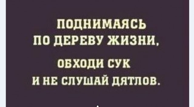 Картинки и мемы для настроения