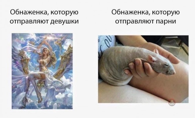 Кретинизмы из сети 03.02.21 Night Edition