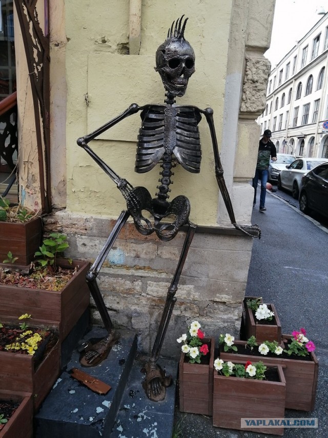 Фотографии СПб
