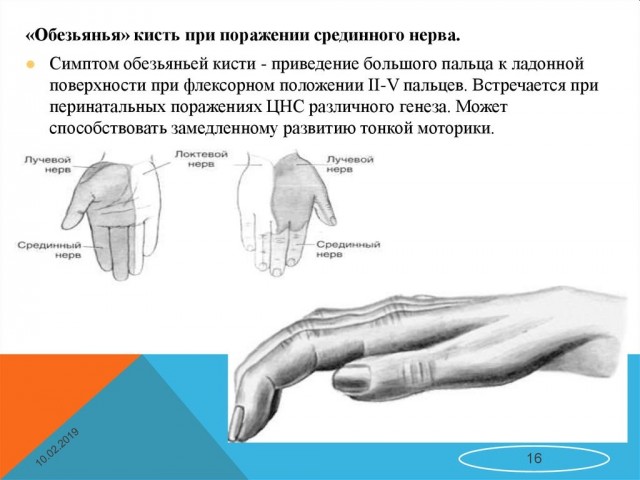 Какими должны быть мужские руки?