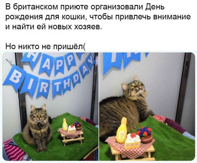 Так себе картинки 05.04.21
