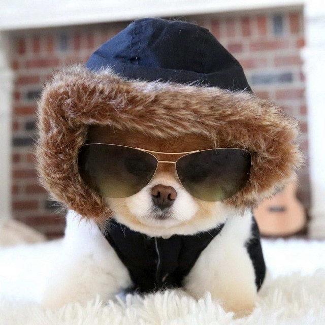 Калейдоскоп картинок