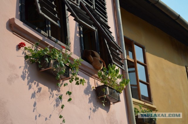 Путешествие по Румынии с семьёй на автомобиле