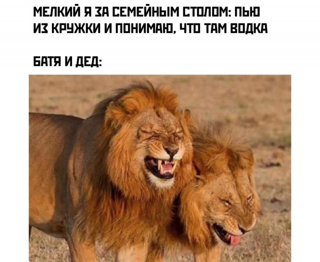 Всем по 50 граммулек