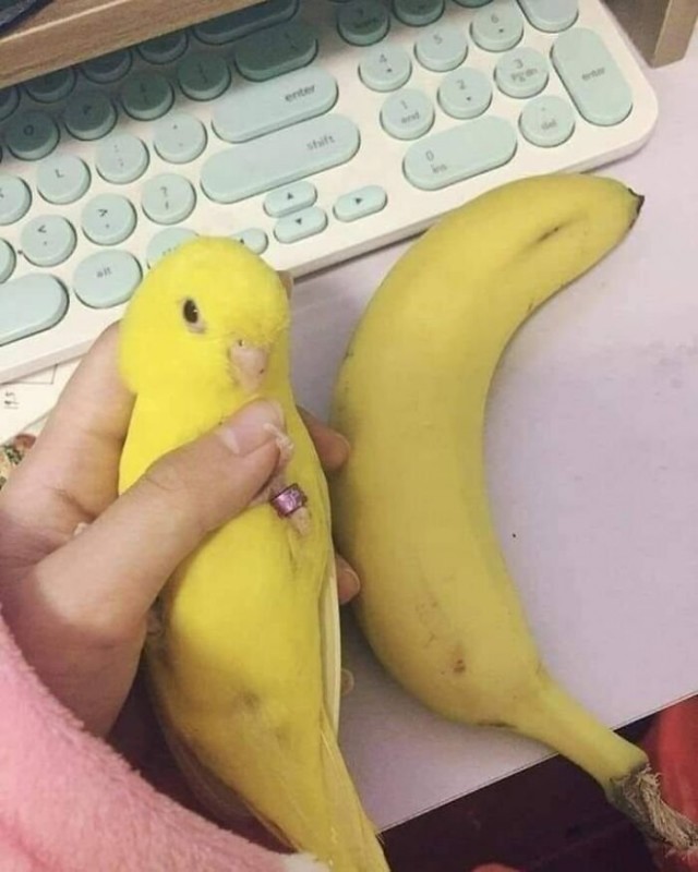 Картинки и мемы для настроения 04.08.2021