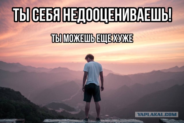 Лавров, Шойгу, Проценко и Шмелева отказались от мандатов депутатов Госдумы