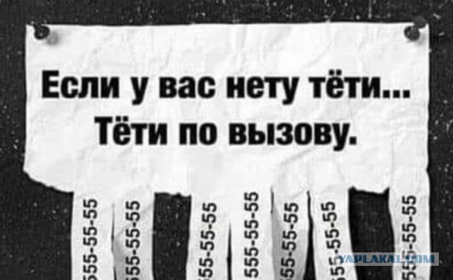 Забавные комментарии из социальных сетей (08.11.21)
