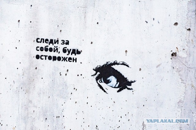 Наташа Королева хвастает сдобной фигурой в трусах